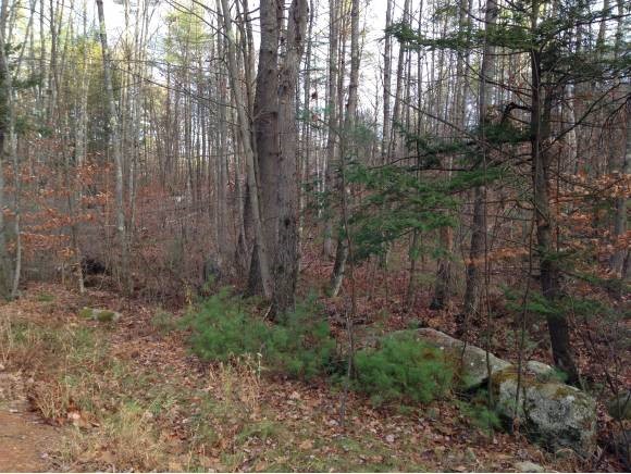 Lot 1 Stockbridge Corner Road Alton, NH 03809 - Photo 4 of 5