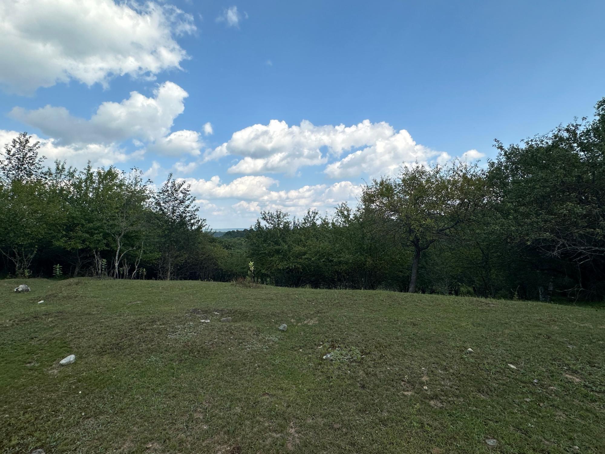 5927 Cth Road Crandon, WI 54520 - Photo 11 of 27 Gallery Image 11