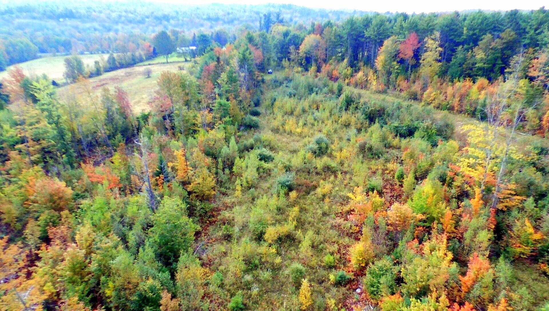 Tbd Chesterville Road Jay, ME 04239 - Photo 29 of 34 Drone B
