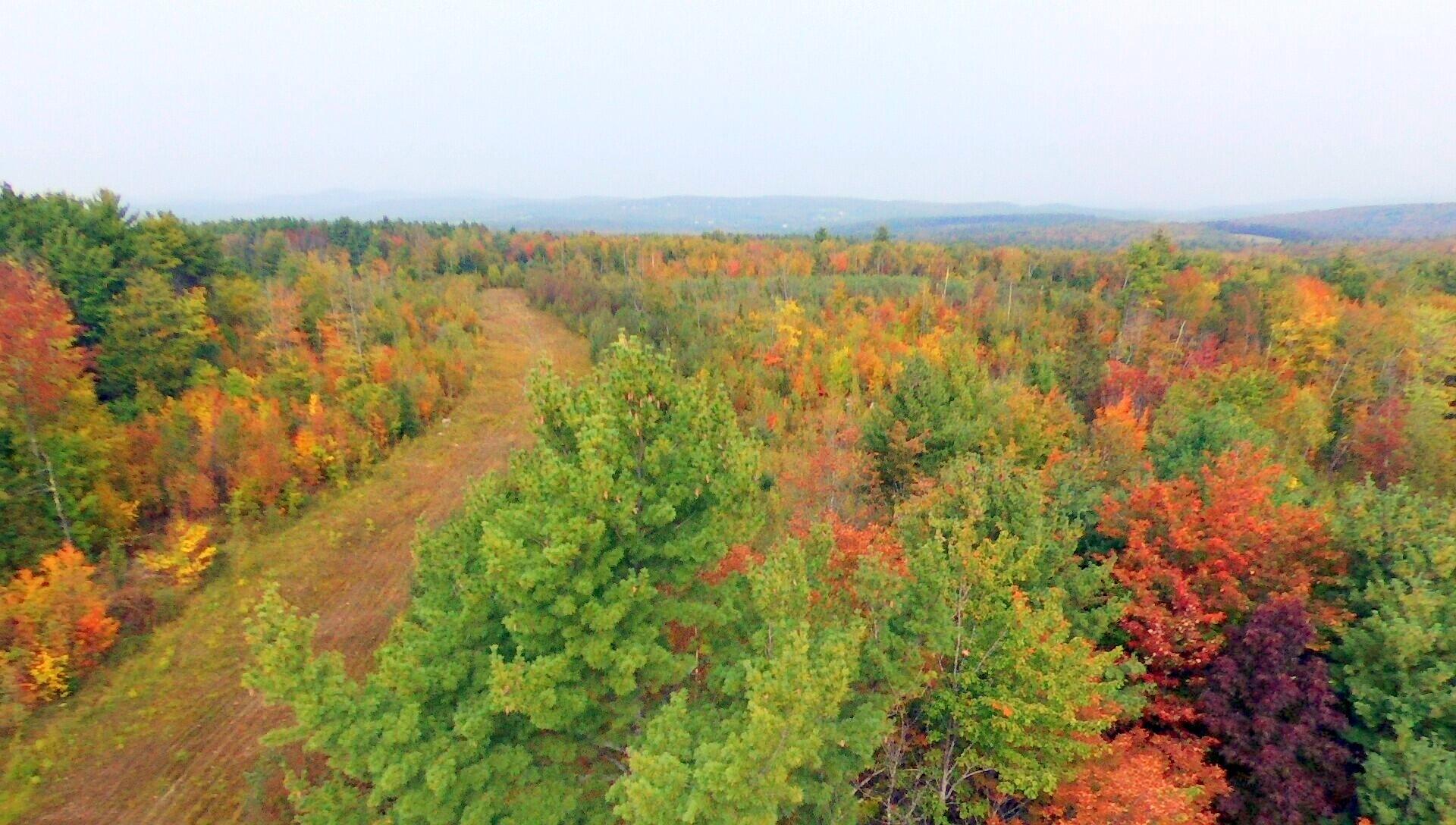 Tbd Chesterville Road Jay, ME 04239 - Photo 30 of 34 Drone D