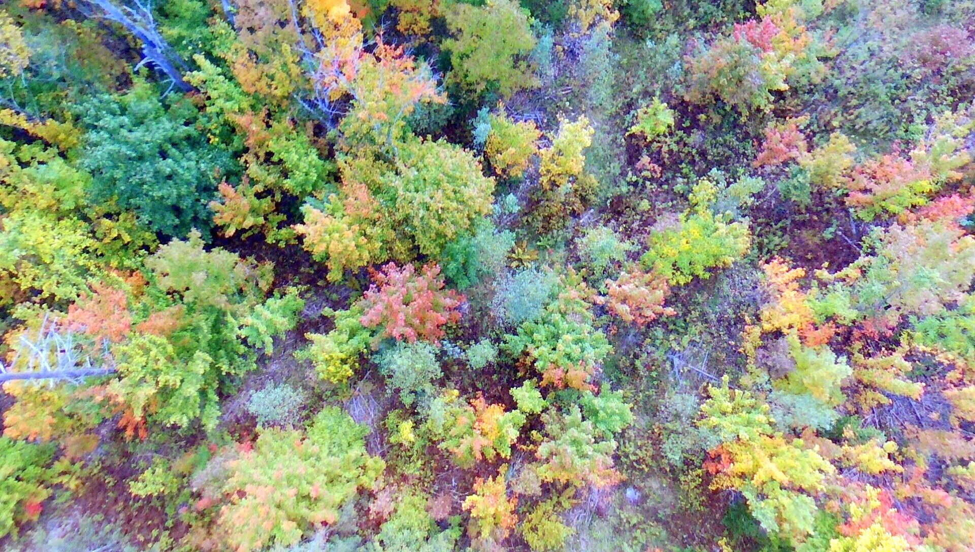 Tbd Chesterville Road Jay, ME 04239 - Photo 3 of 34 Drone C