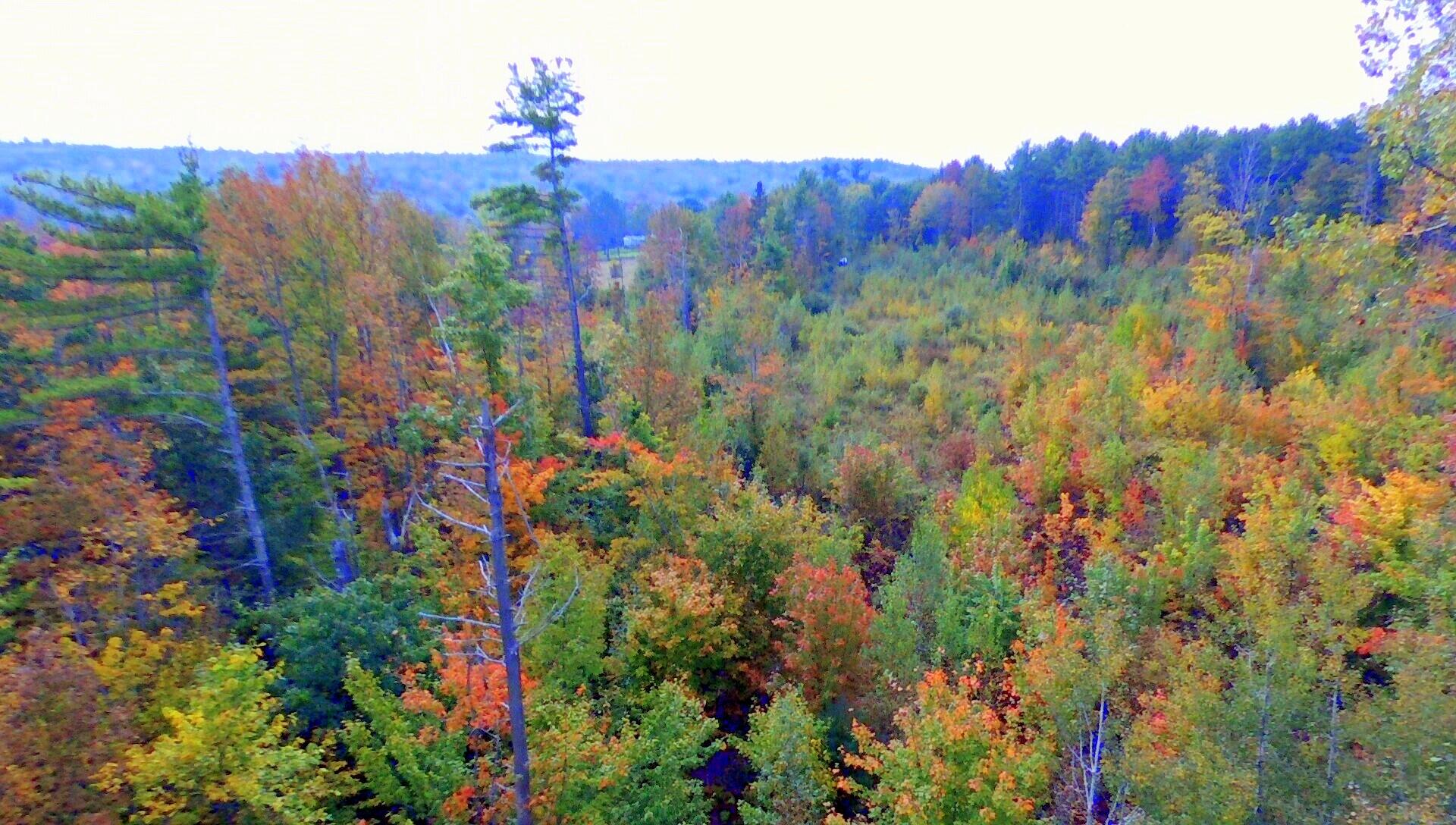 Tbd Chesterville Road Jay, ME 04239 - Photo 32 of 34 Drone G