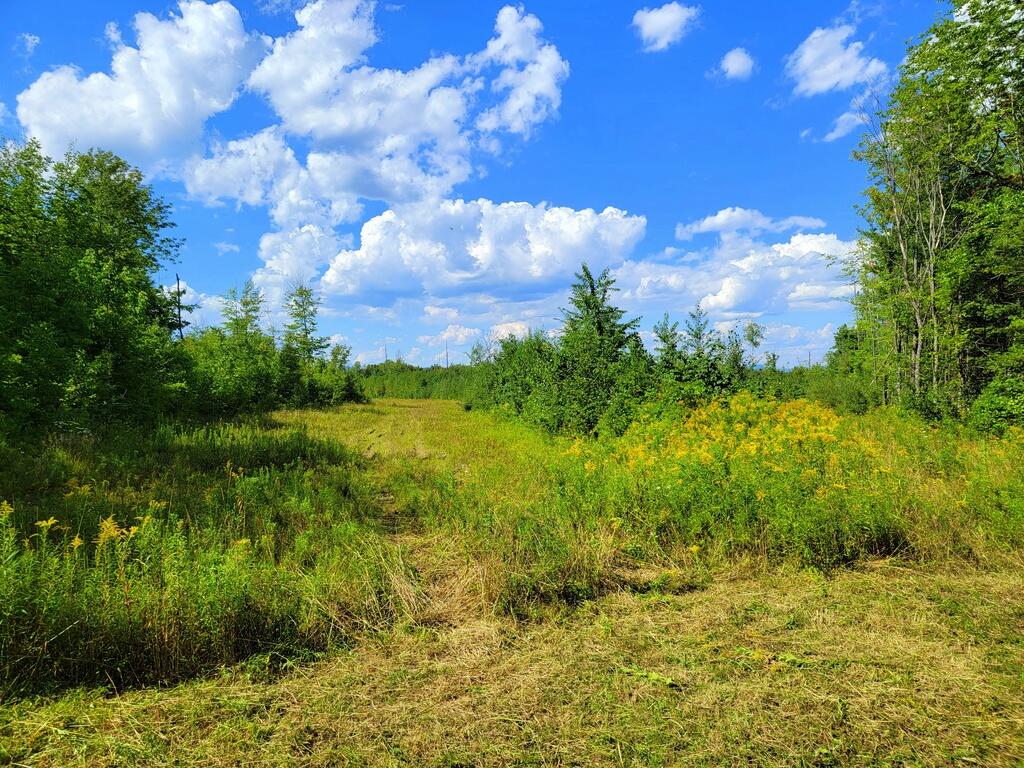 Tbd Chesterville Road Jay, ME 04239 - Photo 5 of 34 03-Drone 2