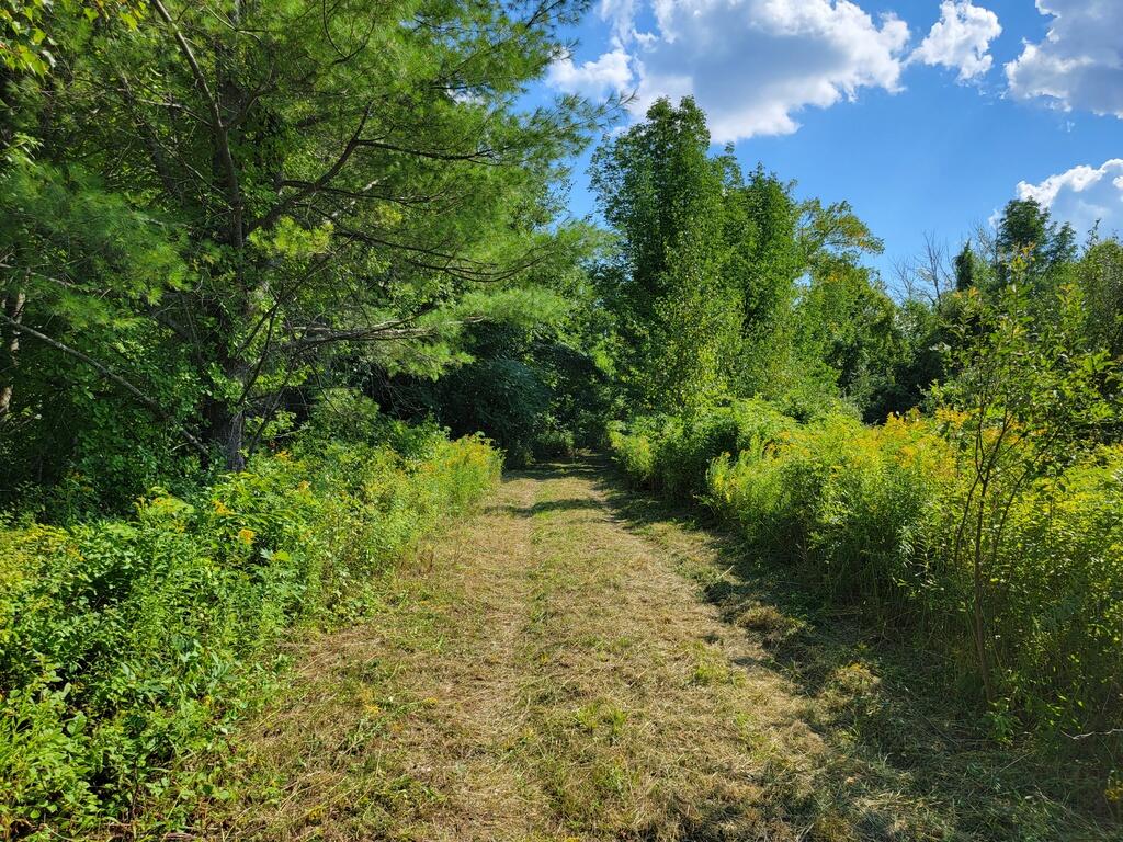 Tbd Chesterville Road Jay, ME 04239 - Photo 9 of 34 09-Road in-001