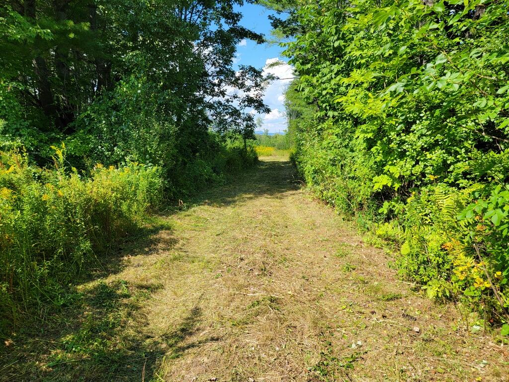 Tbd Chesterville Road Jay, ME 04239 - Photo 10 of 34 08-Road in