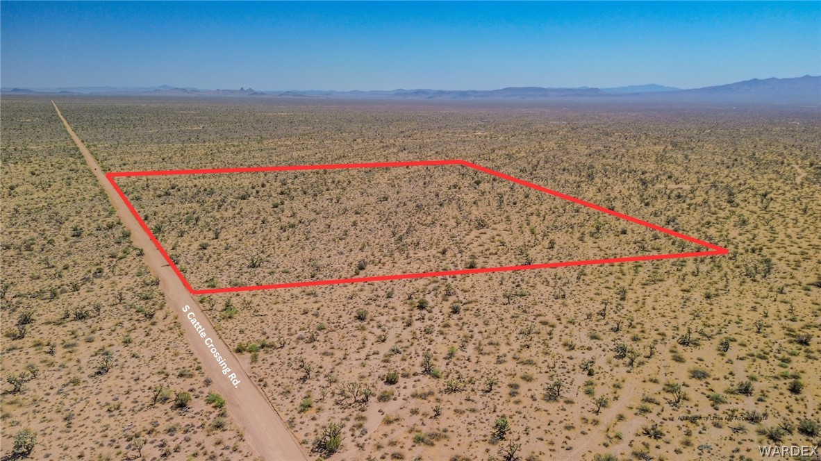 169 South Cattle Crossing Road Yucca, AZ 86438 - Photo 3 of 13