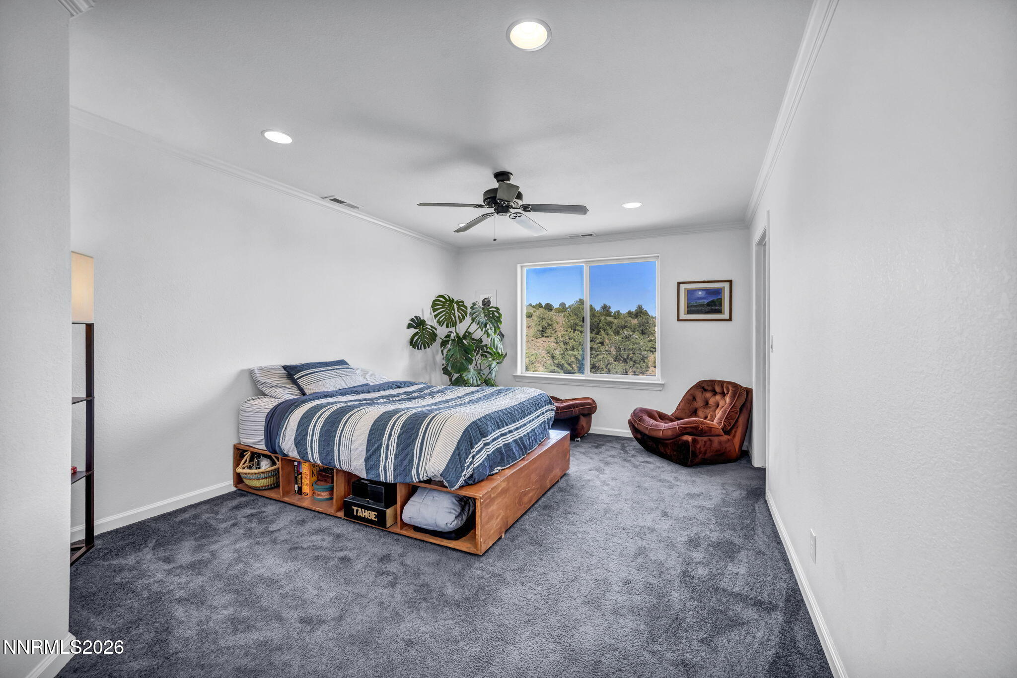 2569 Cartwright Road Reno, NV 89521 - Photo 93 of 94 77-web-or-mls-2569-cartwright-rd
