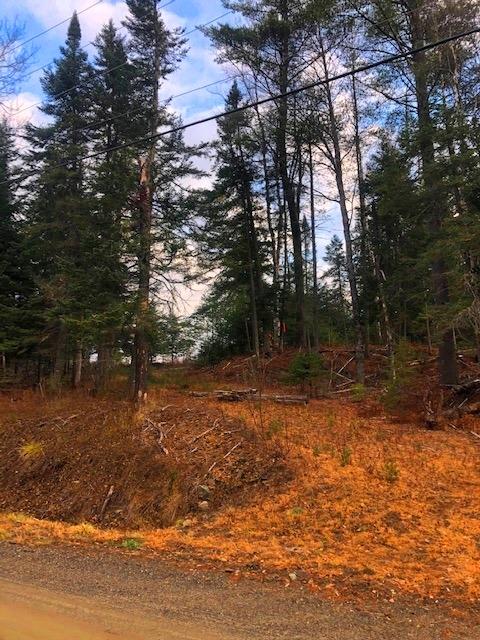 0 Targett Road Rangeley, ME 04970 - Photo 6 of 20 Driveway #1