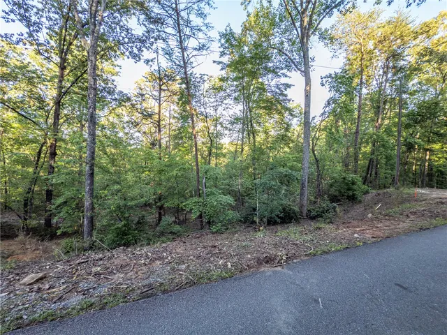 $69,000 | Lot 23 Old Shallowford Bridge Road, Sunset, SC 29685