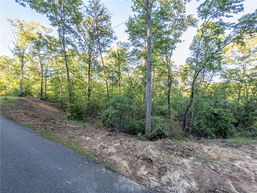 Lot 23 Old Shallowford Bridge Road Sunset, SC 29685 - Photo 3 of 14