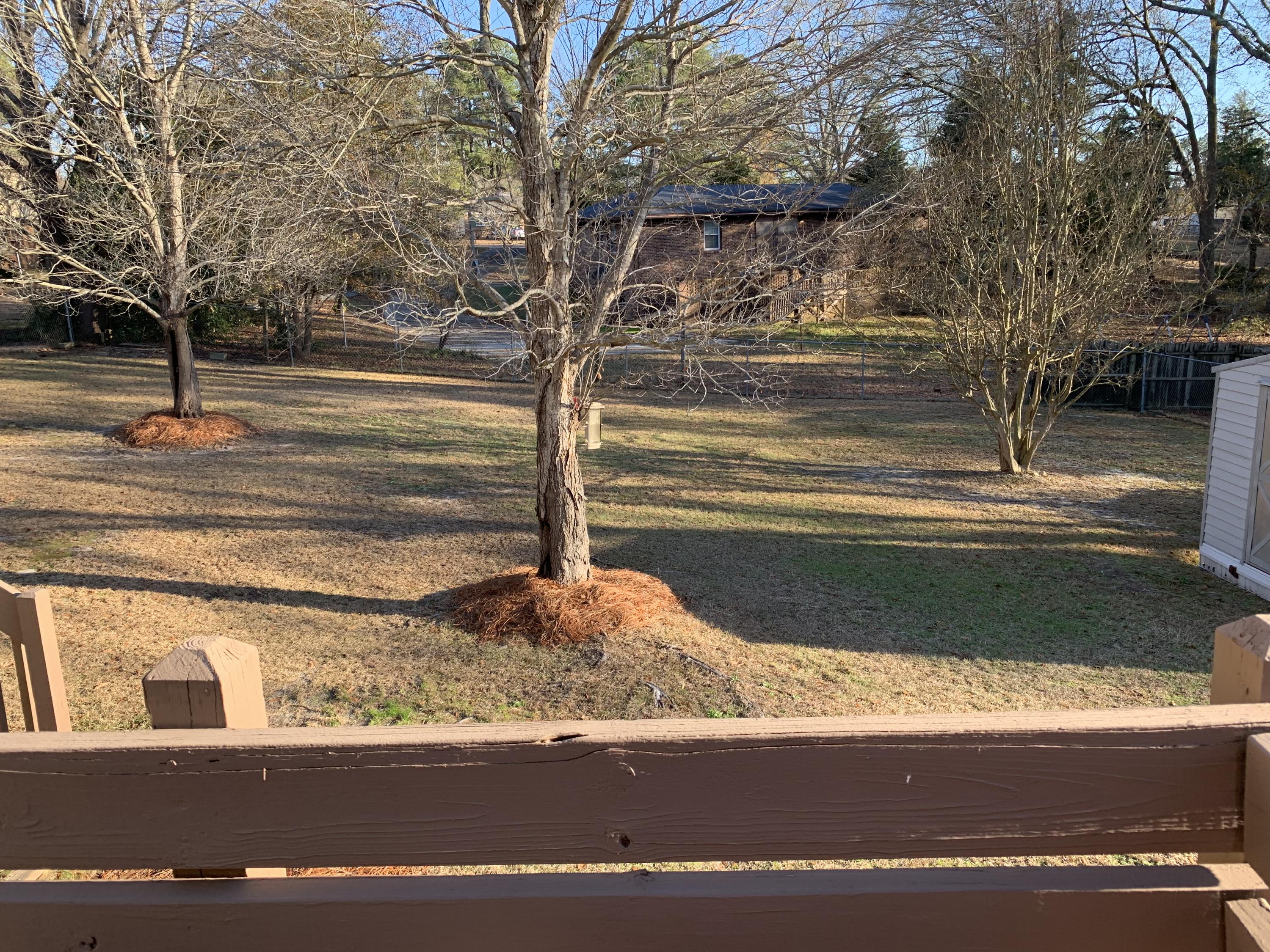 614 Walnut Lane Rockingham, NC 28379 - Photo 4 of 19 backyard