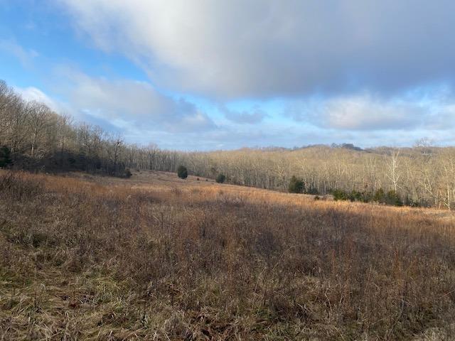 0 Chestnut Ridge Road West Union, OH 45693 - Photo 1 of 1
