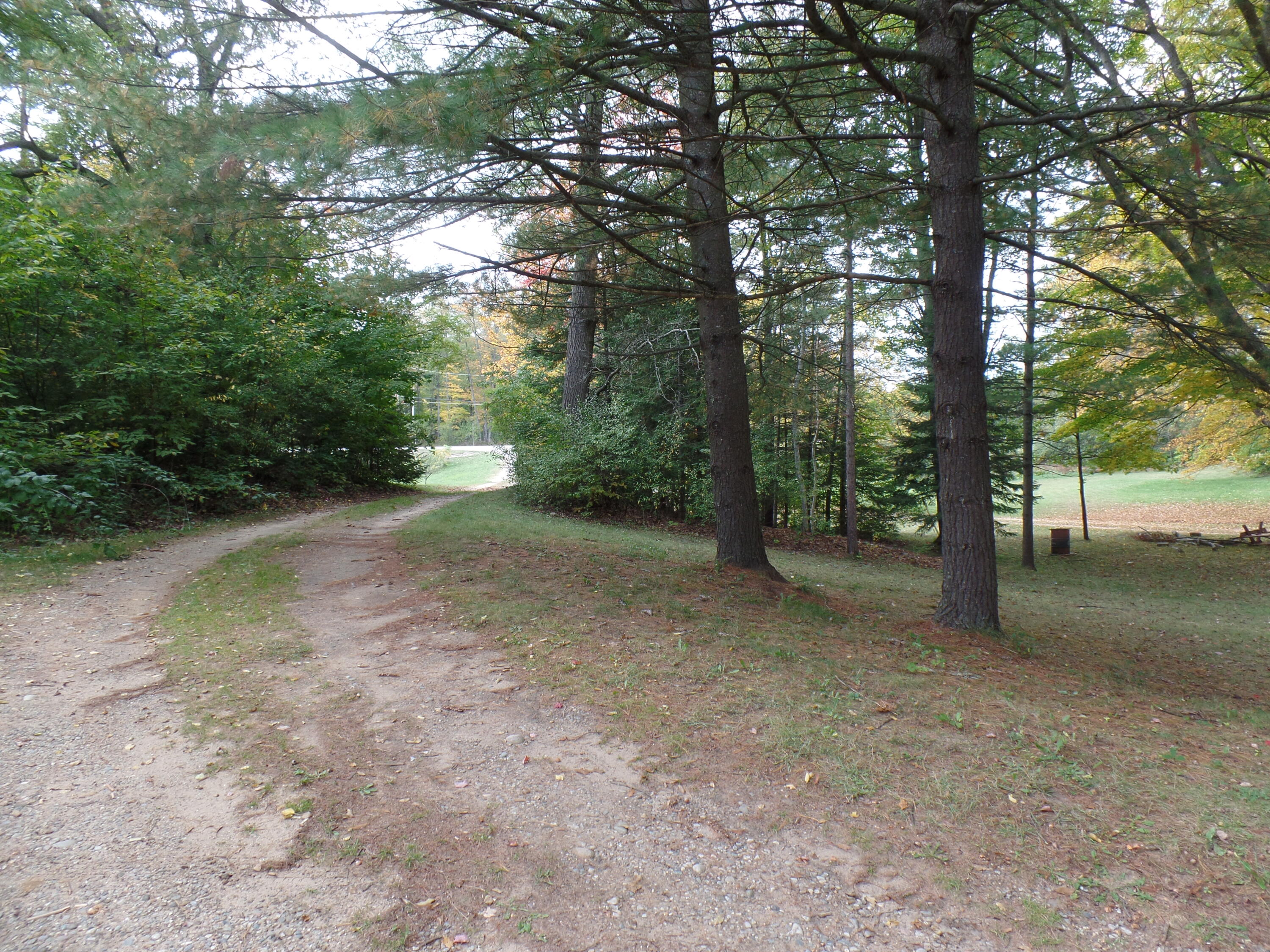 1846 North Abbe Road Fairview, MI 48621 - Photo 9 of 34 Gallery Image 9