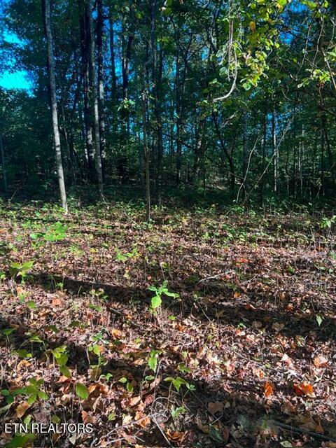 196 Woodstock Drive, Unit LOT #176 Rutledge, TN 37861 - Photo 5 of 5 8ab3861dfa88563df30149f18998a2d1