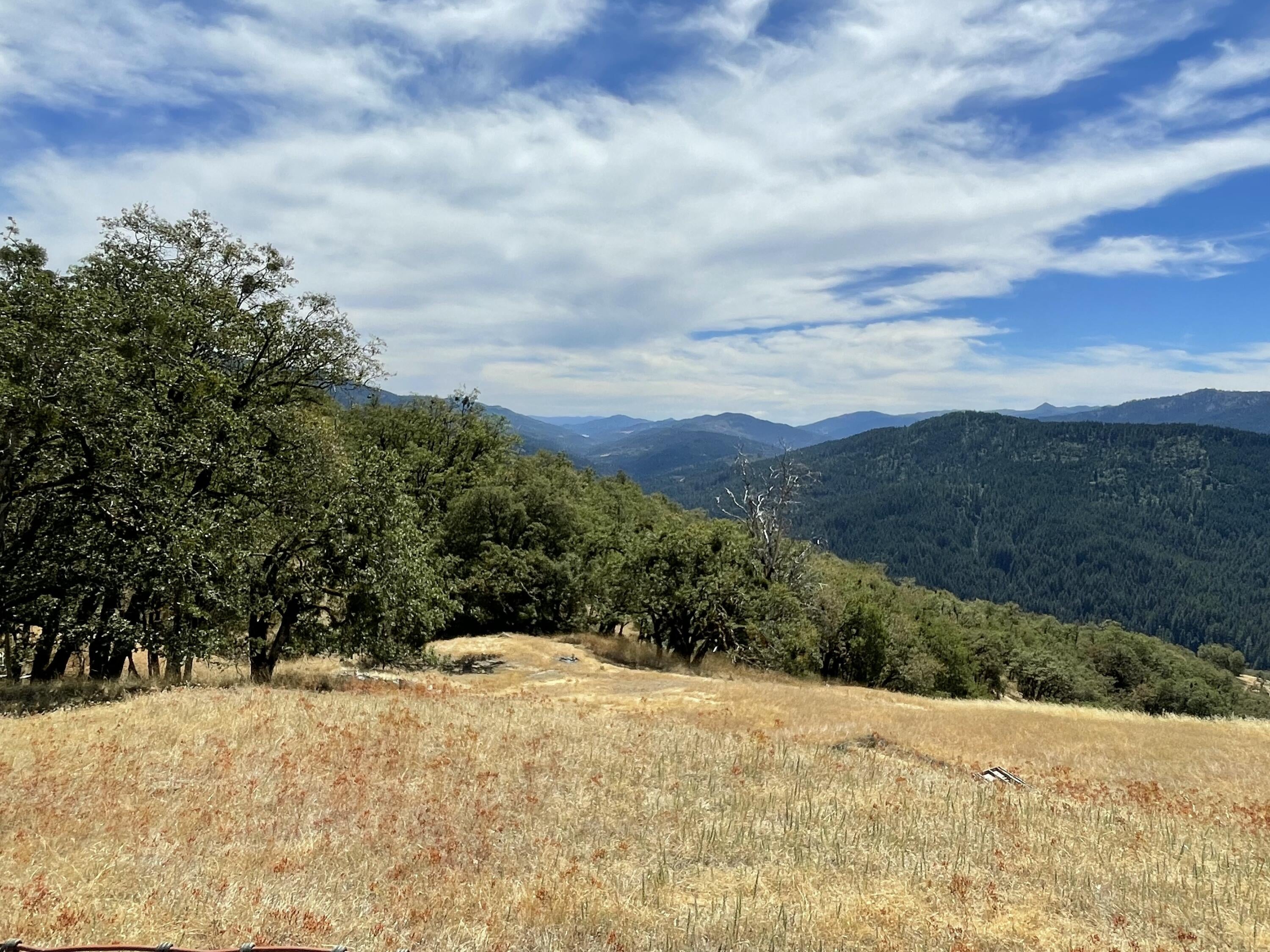 57-acres Ridge Road Mad River, CA 95552 - Photo 19 of 28 Gallery Image 19