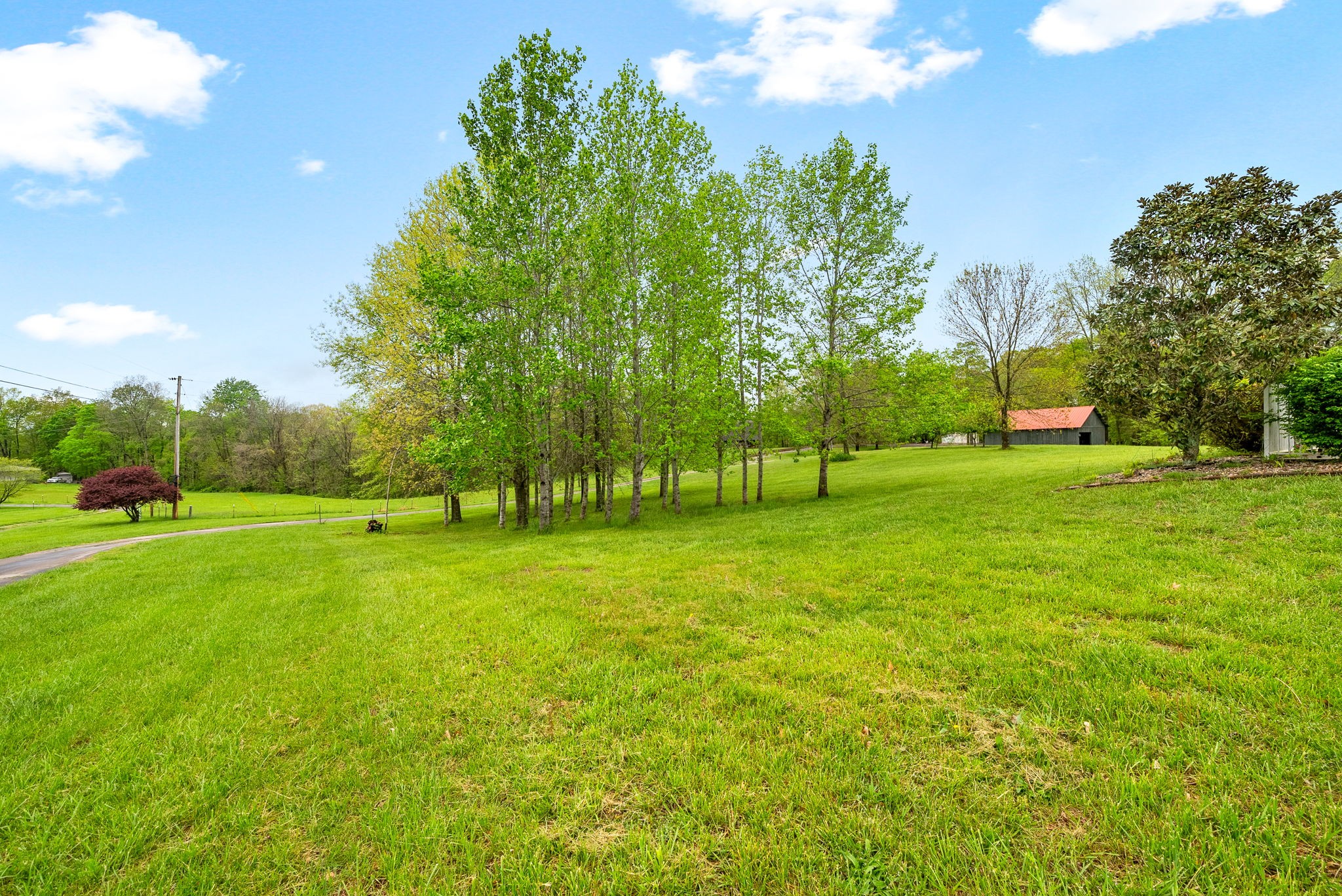 4565 Thomasville Road Chapmansboro, TN 37035 - Photo 63 of 86 Gallery Image 63