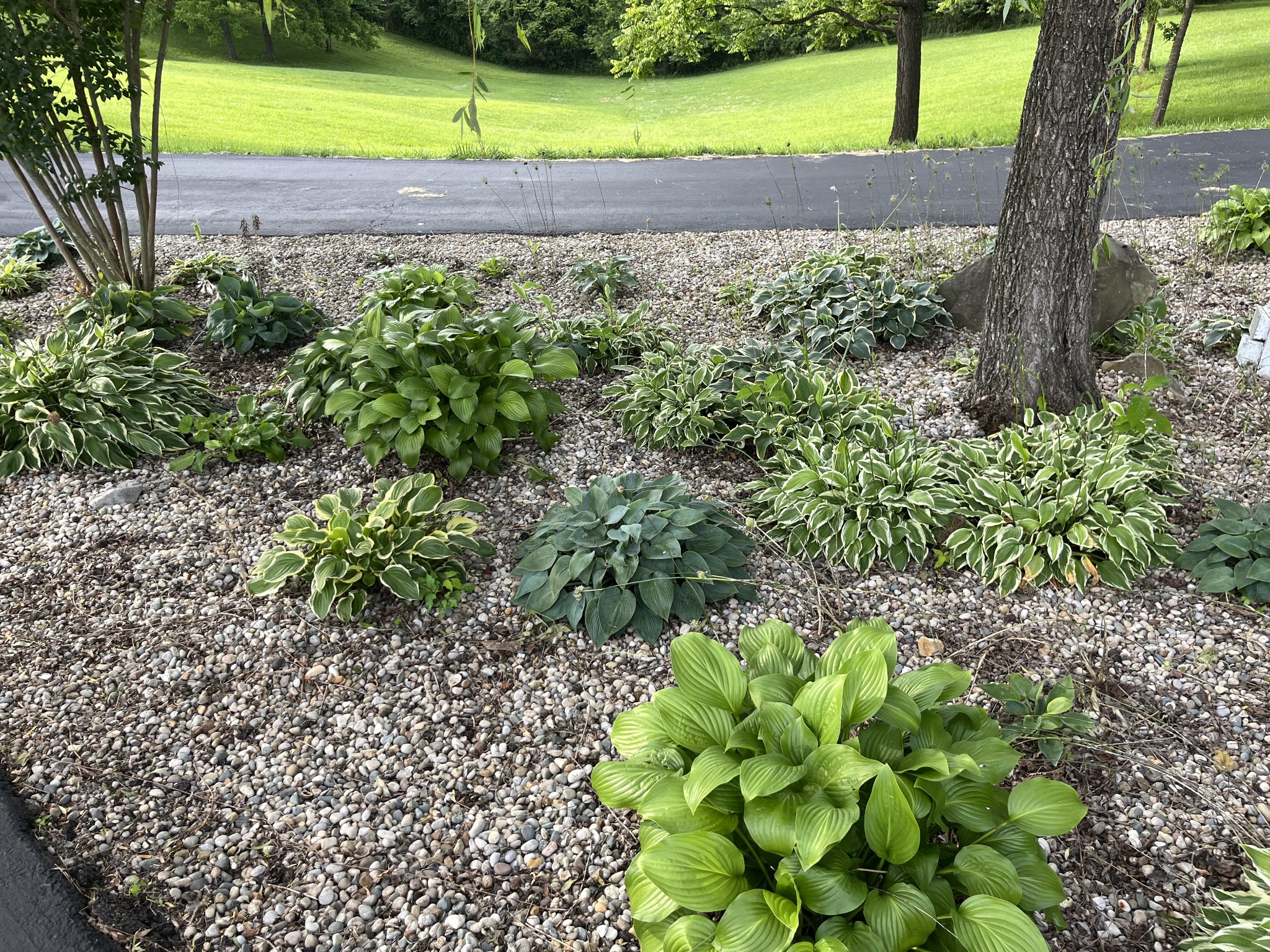 4565 Thomasville Road Chapmansboro, TN 37035 - Photo 81 of 86 Gallery Image 81