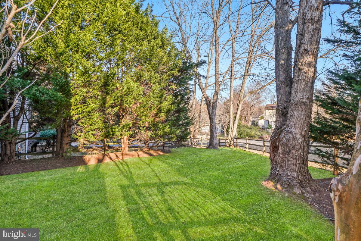 9804 Korman Court Potomac, MD 20854 - Photo 60 of 66 a view of a backyard with large trees
