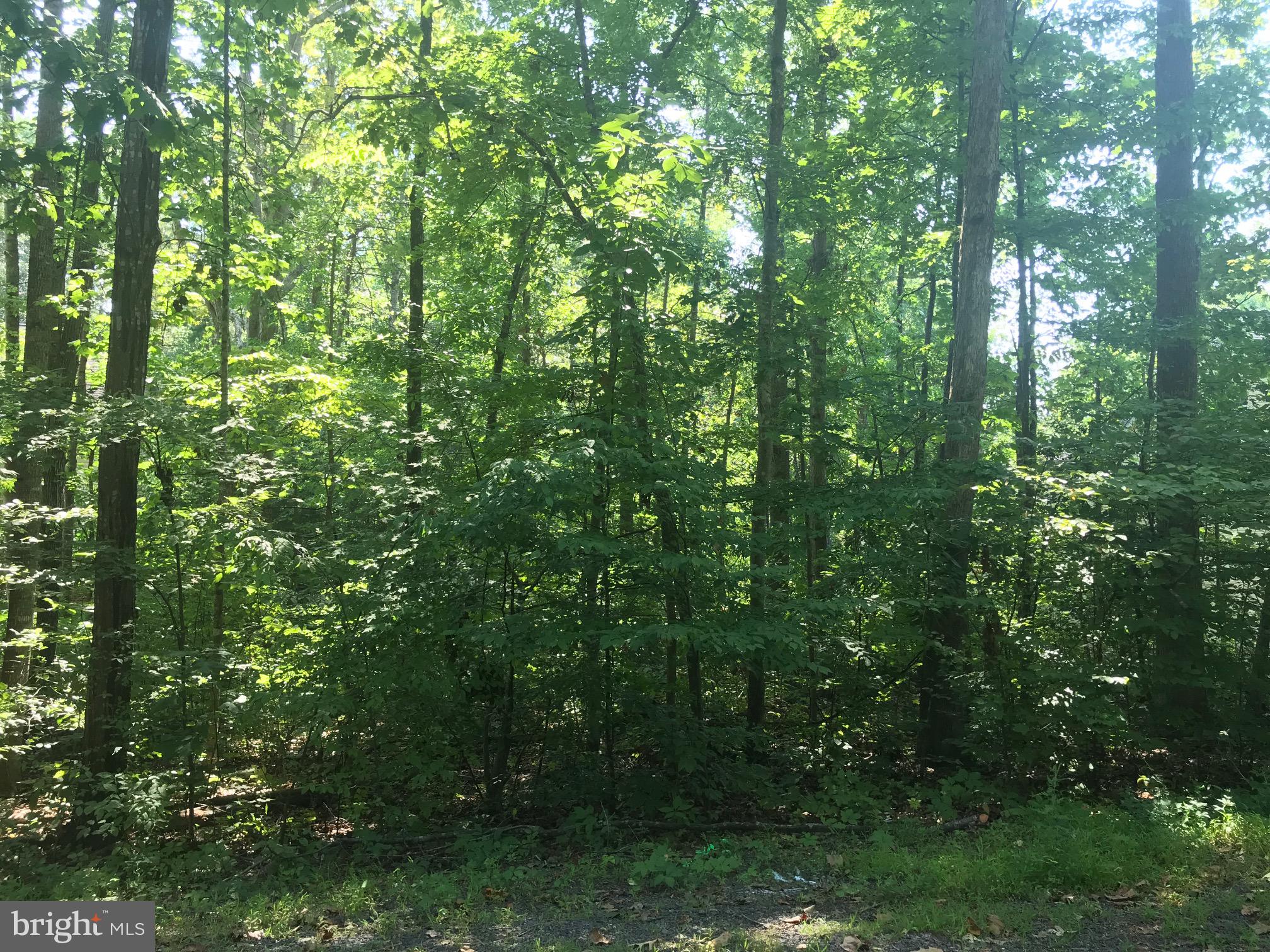 109 Monument Road Locust Grove, VA 22508 - Photo 1 of 9 Ready to start building?