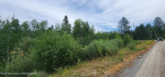 $139,000 | Lot 59-b4 Lot 59-b4 Cuttroat Run, Irwin, ID 83428