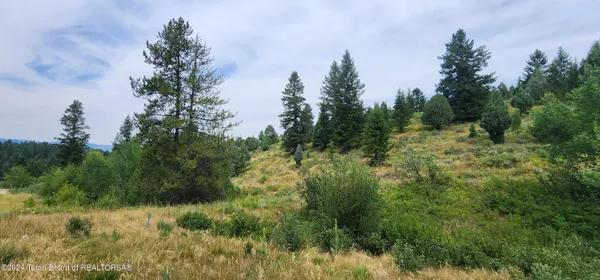 $134,000 | Lot 59-b4 Lot 59-b4 Cutthroat Run, Irwin, ID 83428