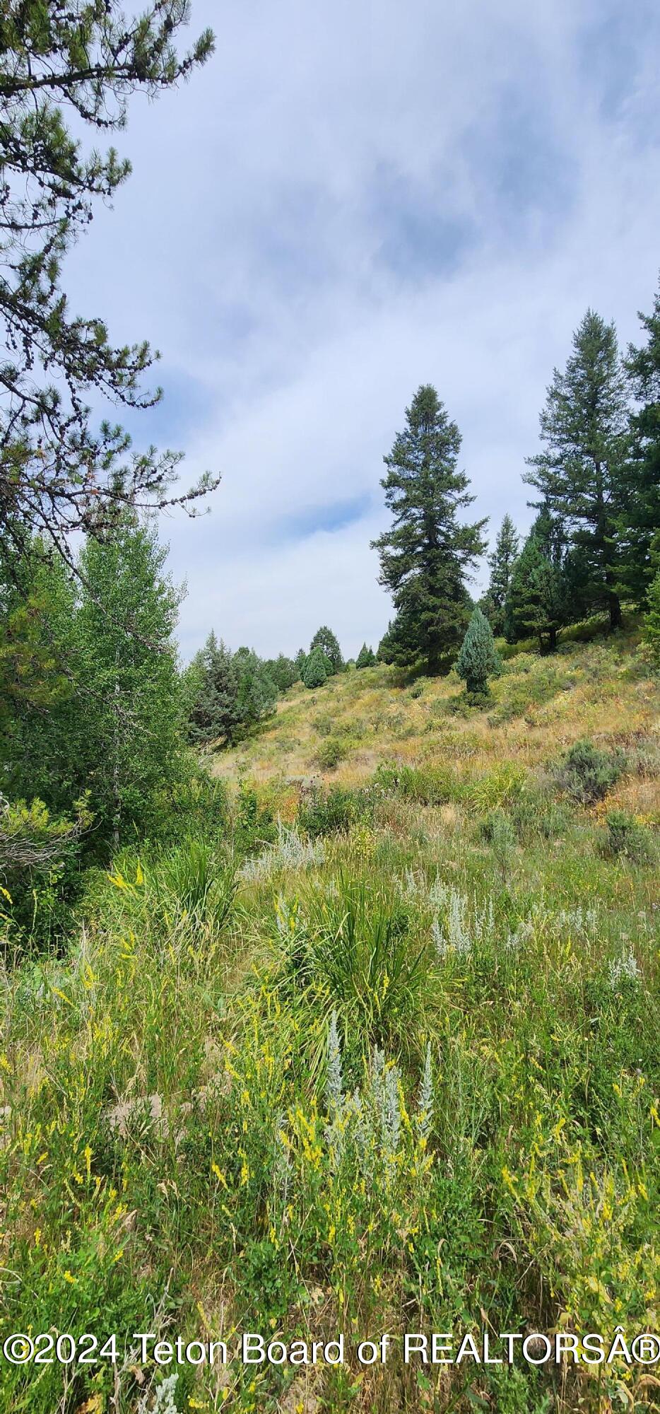 Lot 59-b4 Lot 59-b4 Cutthroat Run Irwin, ID 83428 - Photo 4 of 8 20240803_120631