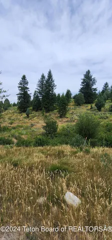 $139,000 | Lot 59-b4 Lot 59-b4 Cuttroat Run, Irwin, ID 83428