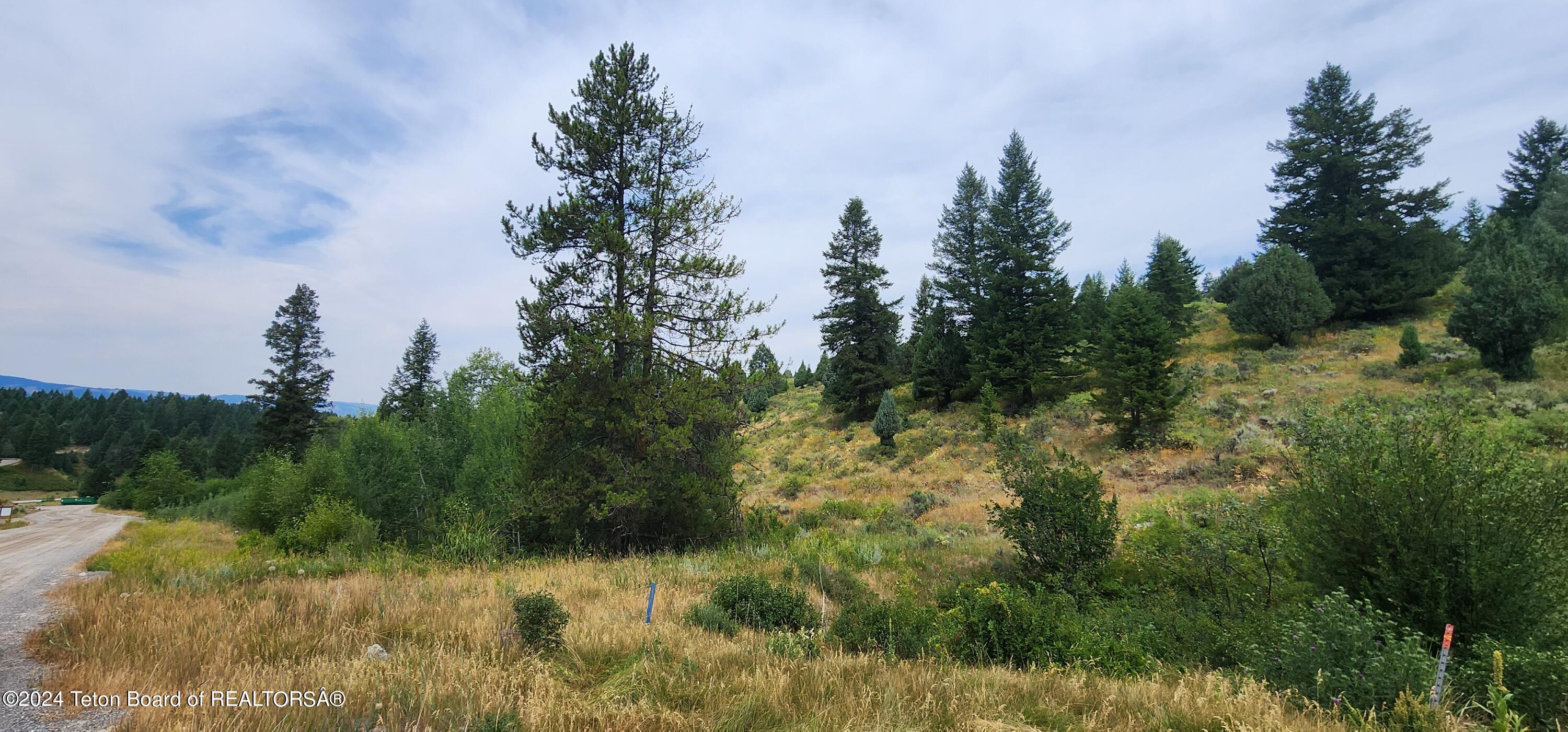 Lot 59-b4 Lot 59-b4 Cutthroat Run Irwin, ID 83428 - Photo 6 of 8 20240803_115941