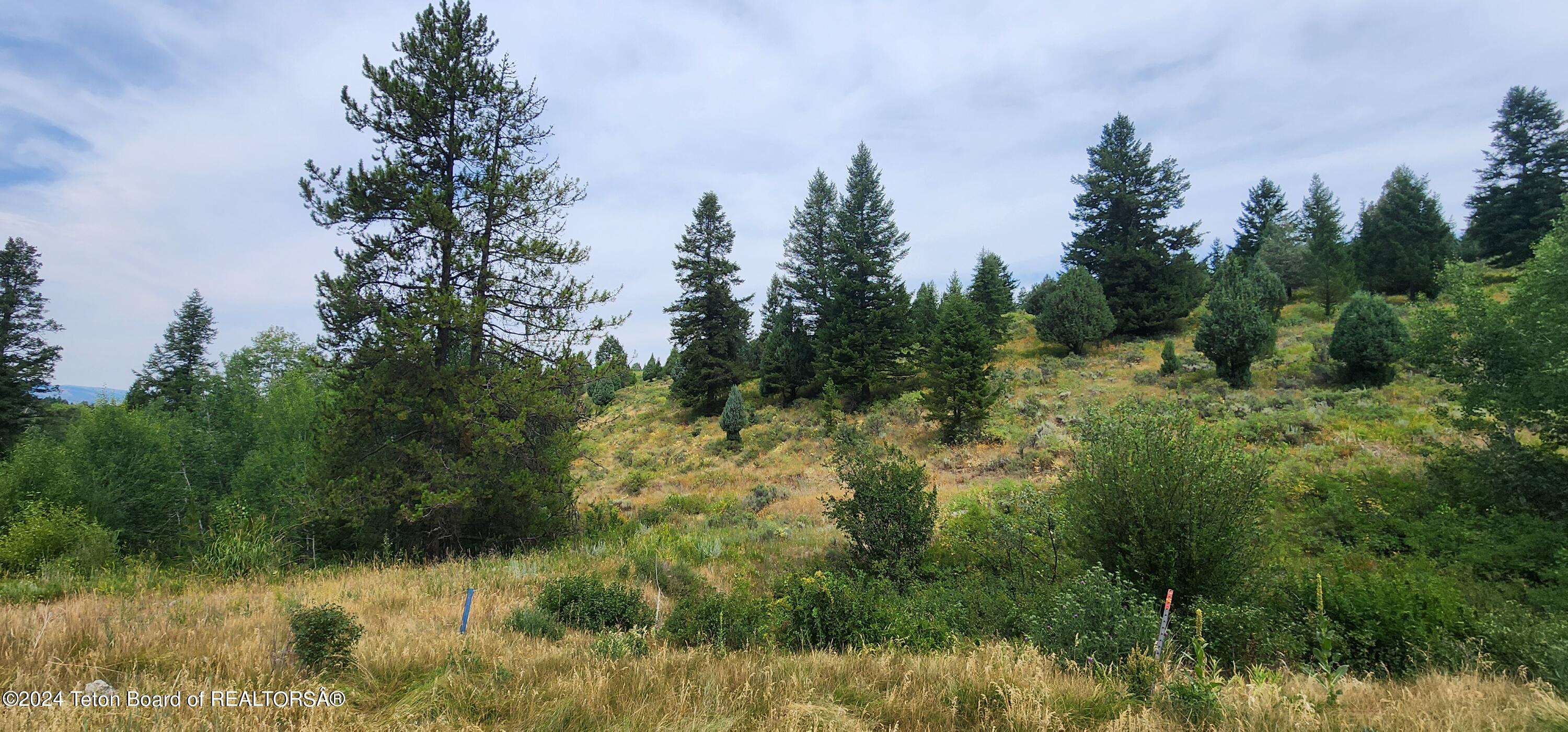 Lot 59-b4 Lot 59-b4 Cutthroat Run Irwin, ID 83428 - Photo 7 of 8 20240803_115936