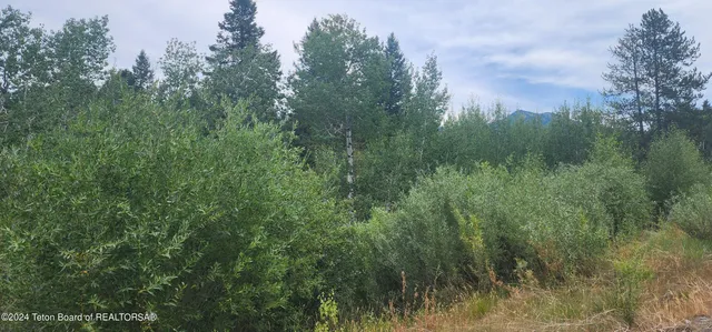 $139,000 | Lot 59-b4 Lot 59-b4 Cuttroat Run, Irwin, ID 83428