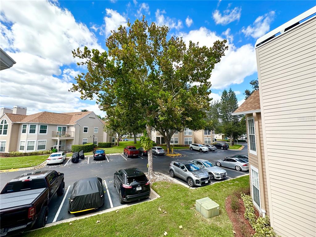 654 Roaring Drive, Unit 228 Altamonte Springs, FL 32714 - Photo 37 of 37 a view of yard with swimming pool and green space