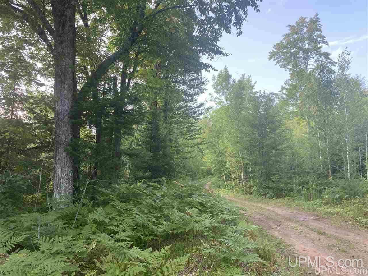 Off Off M64s Bessemer, MI 49911 - Photo 22 of 33