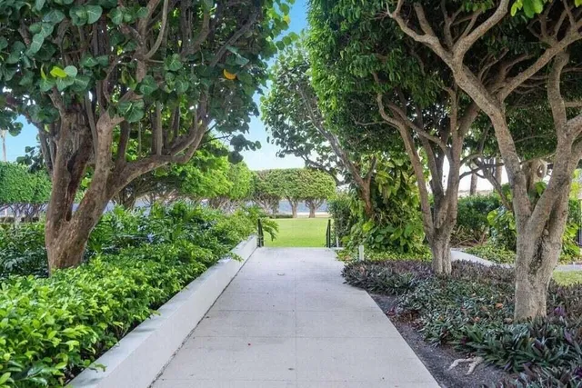 a view of a garden with pathway