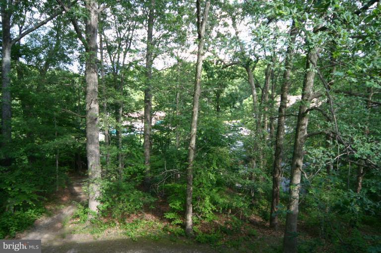 5903 Kingsford Road, Unit G Springfield, VA 22152 - Photo 11 of 23 View from unit