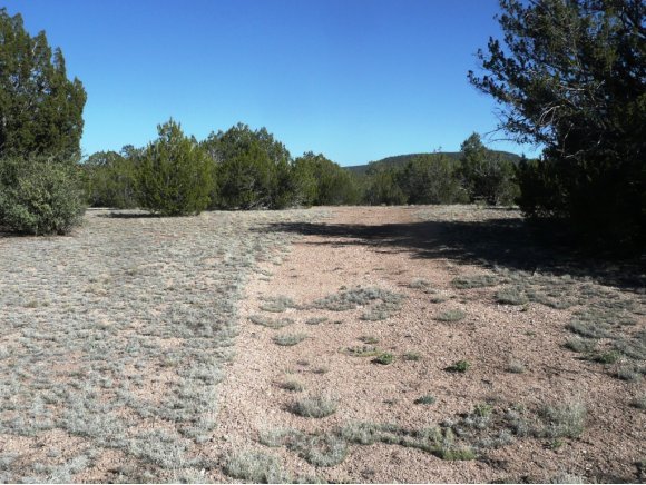 192 Sierra Verde Ranch Seligman, AZ 86337 - Photo 2 of 10 Additional Photo
