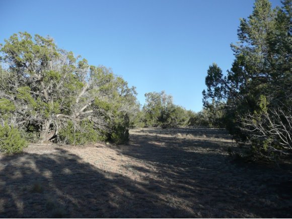 192 Sierra Verde Ranch Seligman, AZ 86337 - Photo 10 of 10 Additional Photo