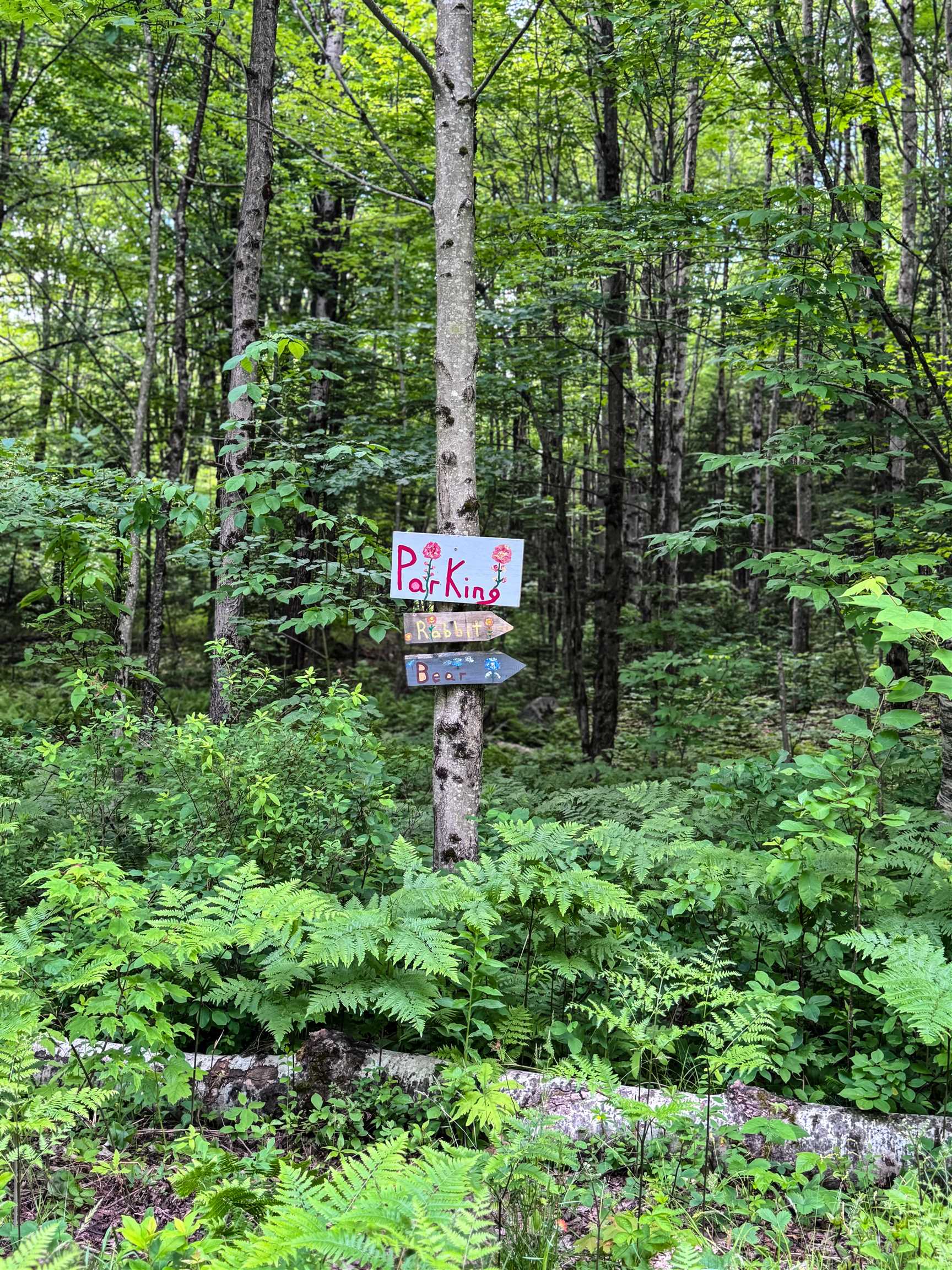 273 Guyette Road Lowell, VT 05847 - Photo 9 of 9