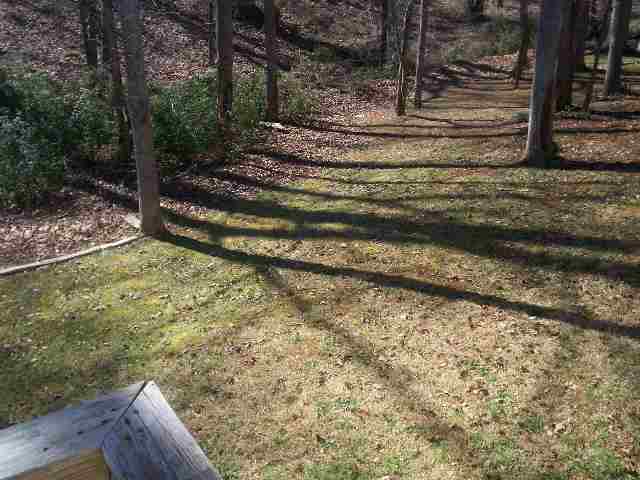8 Queens Street Fountain Inn, SC 29644 - Photo 20 of 20 Gallery Image 20