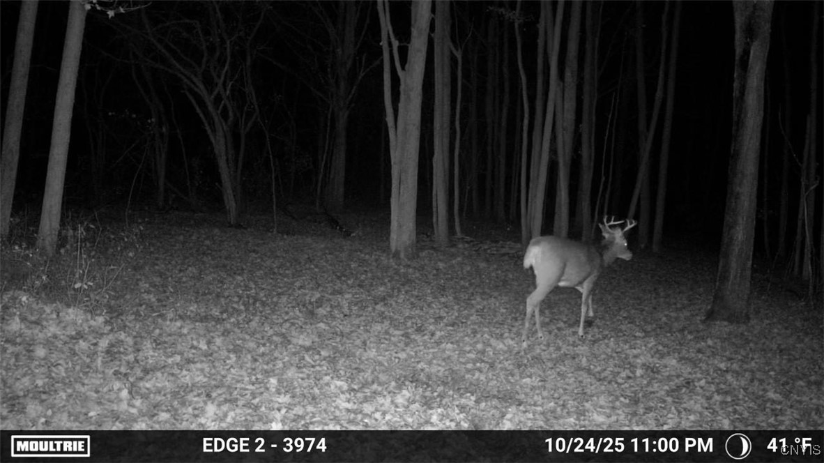 12 New York State Route Watertown, NY 13601 - Photo 5 of 11