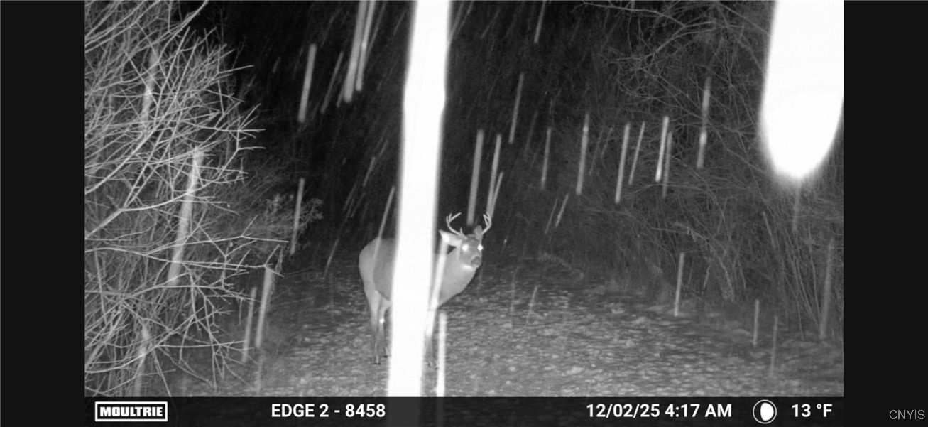 12 New York State Route Watertown, NY 13601 - Photo 6 of 11