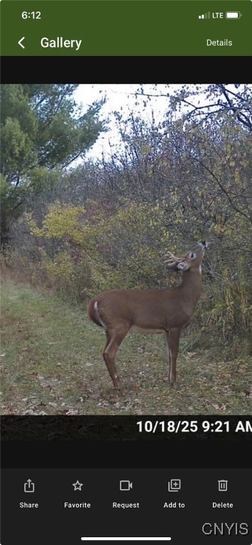 12 New York State Route Watertown, NY 13601 - Photo 7 of 11