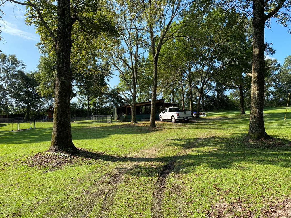 1234 Prevatt Road Dothan, AL 36301 - Photo 38 of 47 Gallery Image 38
