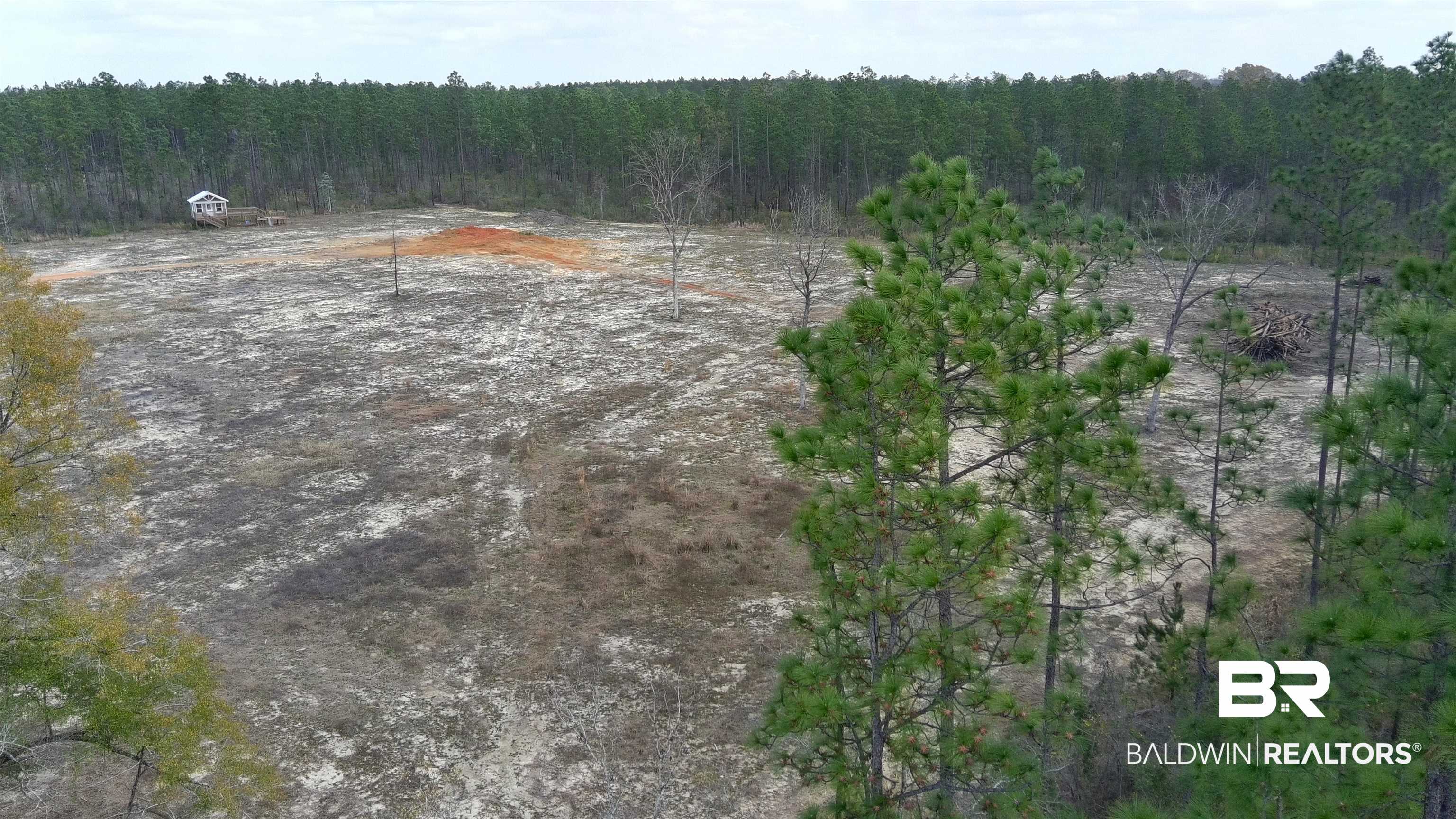 0 Paul Road Bay Minette, AL 36507 - Photo 4 of 19 View from Southwest Corner of Cleared 5 Acres
