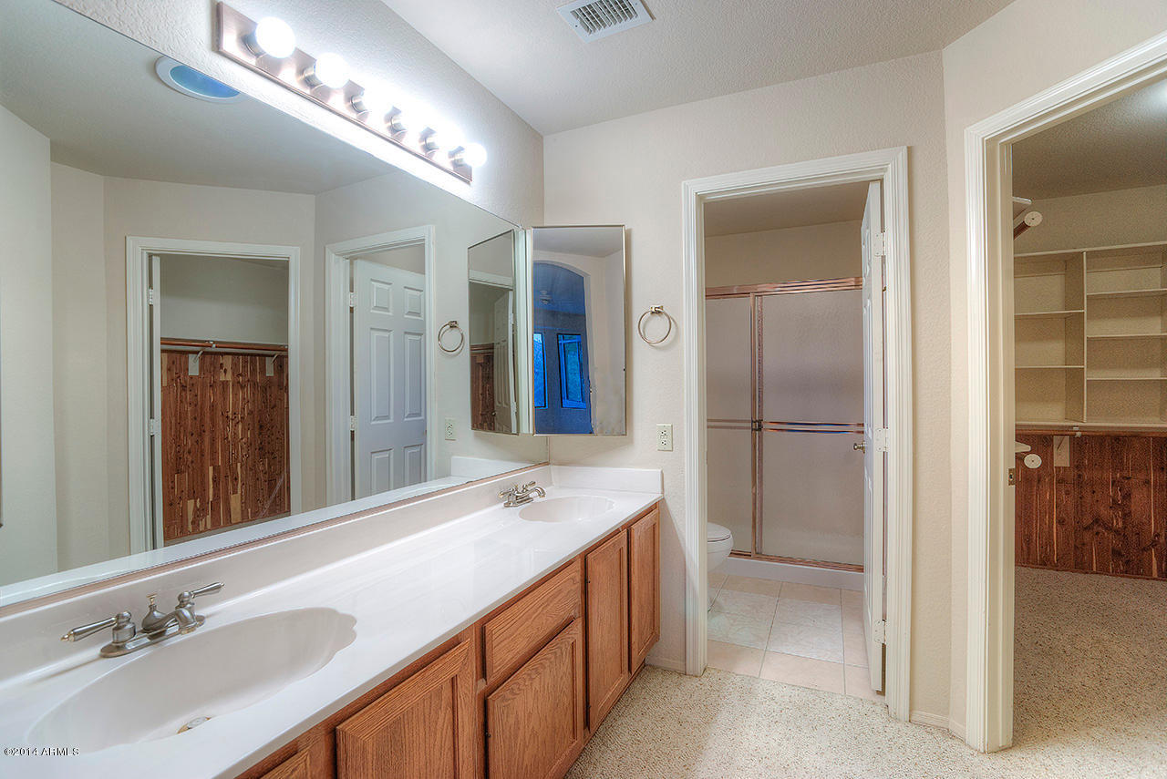 7972 East Salt Bush Road Gold Canyon, AZ 85118 - Photo 11 of 16 Master Bathroom