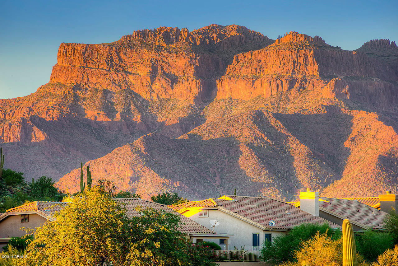 7972 East Salt Bush Road Gold Canyon, AZ 85118 - Photo 16 of 16 Superstition Mountains