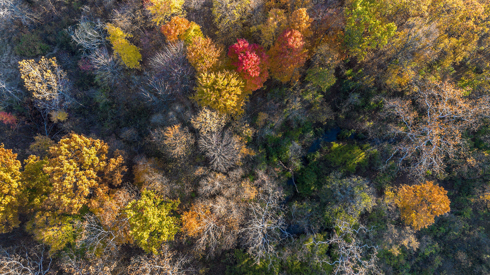 Vl Staley Road Eau Claire, MI 49111 - Photo 11 of 19 007_dji_0031_683