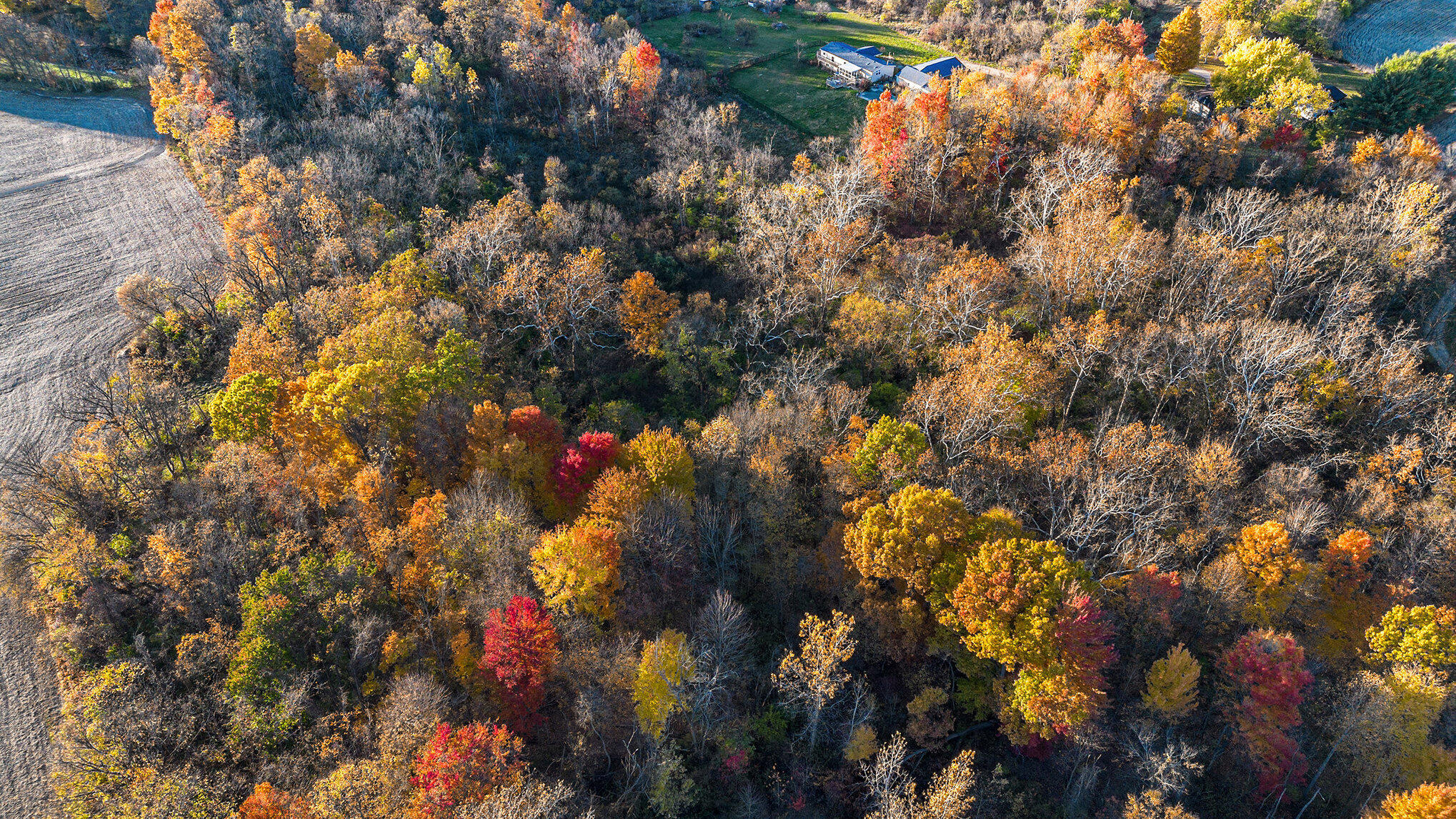 Vl Staley Road Eau Claire, MI 49111 - Photo 13 of 19 009_dji_0037_451