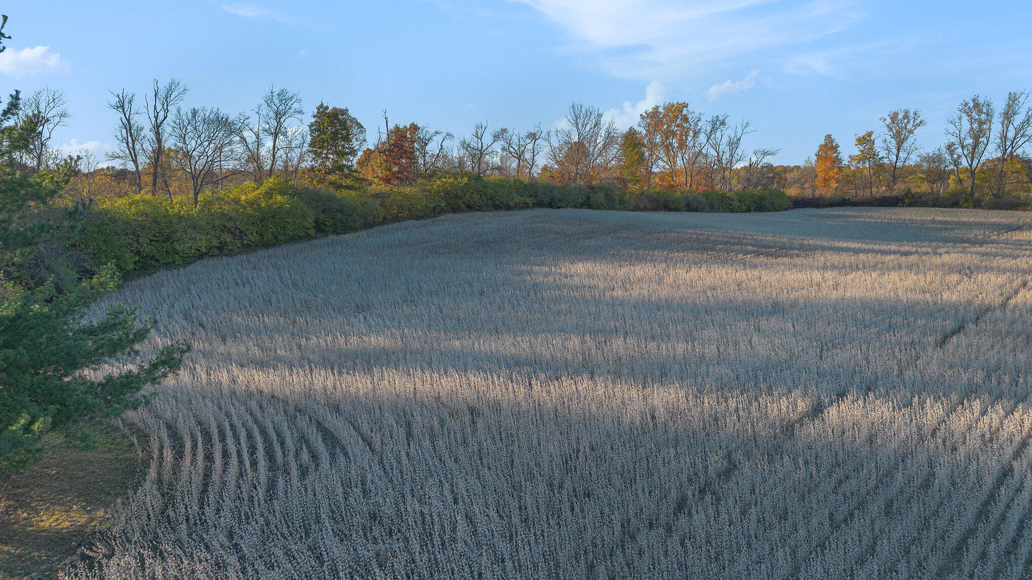 Vl Staley Road Eau Claire, MI 49111 - Photo 16 of 19 012_dji_0041_834