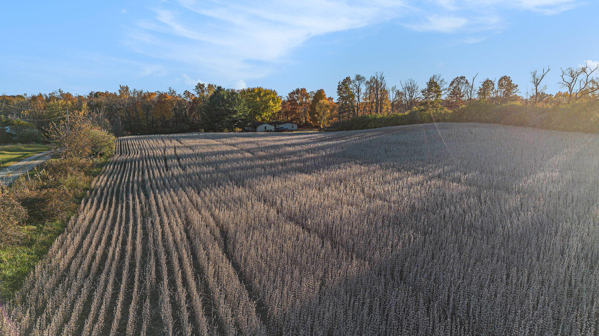 Vl Staley Road Eau Claire, MI 49111 - Photo 17 of 19 013_dji_0043_500