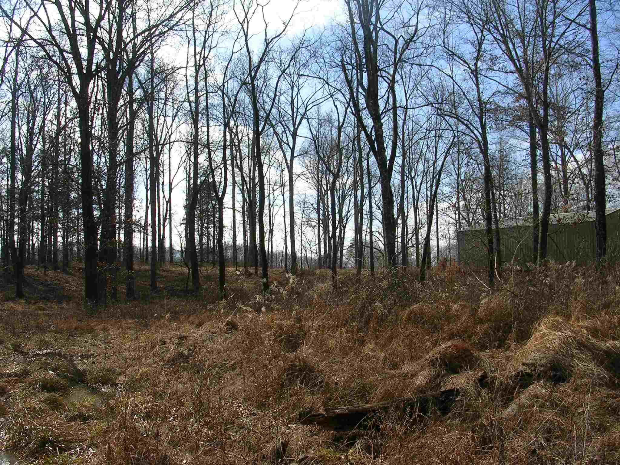 Pleasant Ridge Road Vienna, IL 62995 - Photo 14 of 27